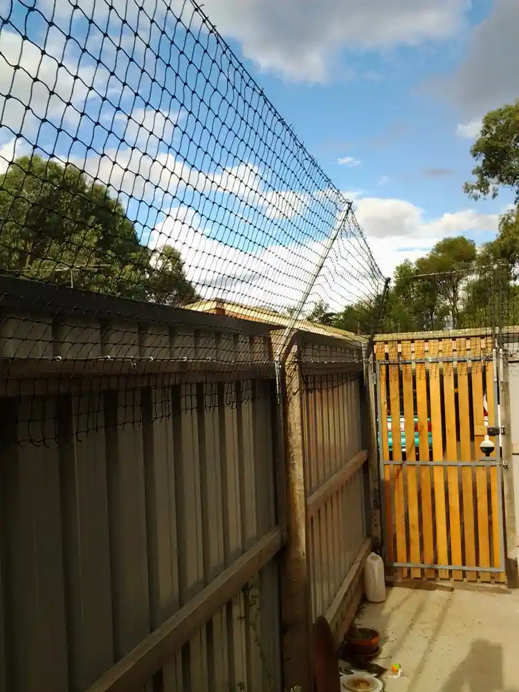 cat proof fence extention