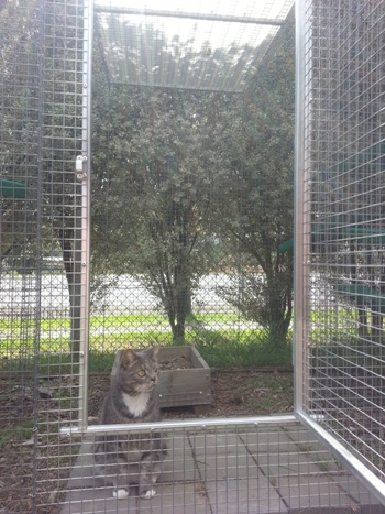 steel frame door upgrade