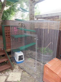 Cat Enclosure Kits 